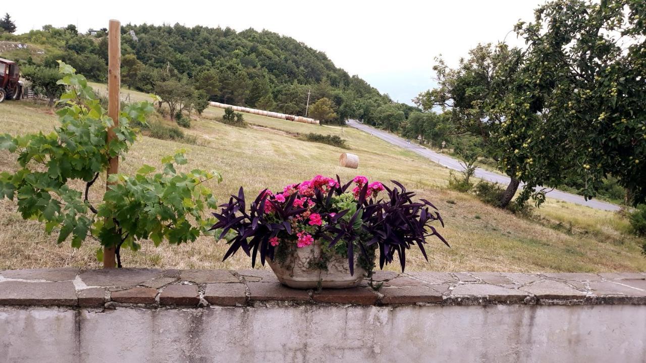 Agriturismo Persichitti Torricella Peligna ภายนอก รูปภาพ