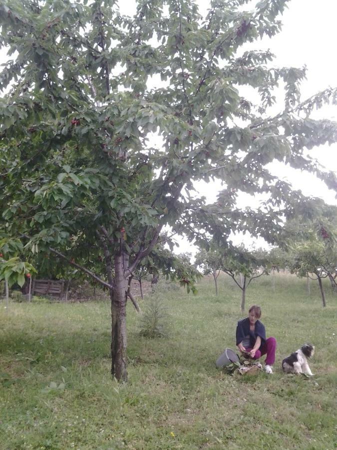 Agriturismo Persichitti Torricella Peligna ภายนอก รูปภาพ